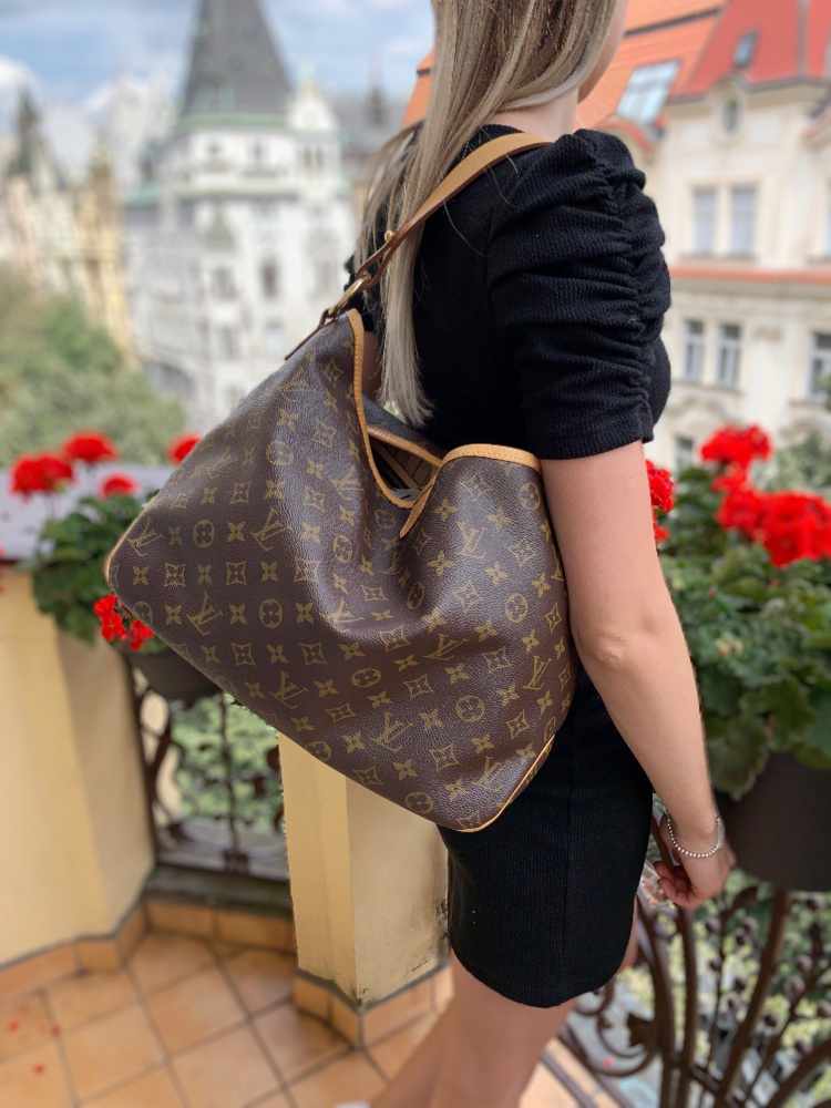 Louis Vuitton Louis Vuitton Delightful PM Monogram Canvas Hobo Bag