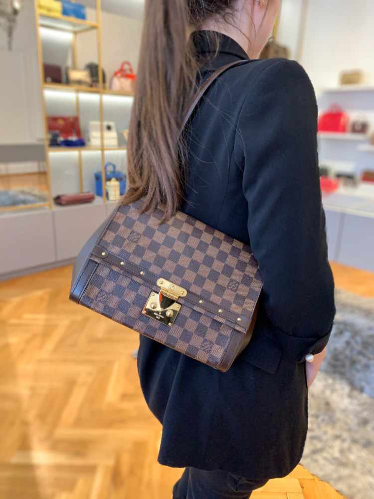 Louis Vuitton Venice Handbag